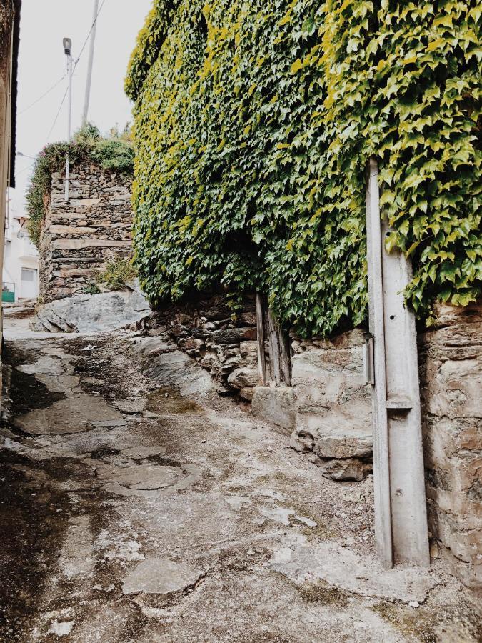 Casa Do Douro ξενώνας Alijó Εξωτερικό φωτογραφία